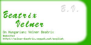 beatrix velner business card